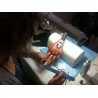 Mano finta pratica ricostruzione unghie nail art estetista snodata con tips