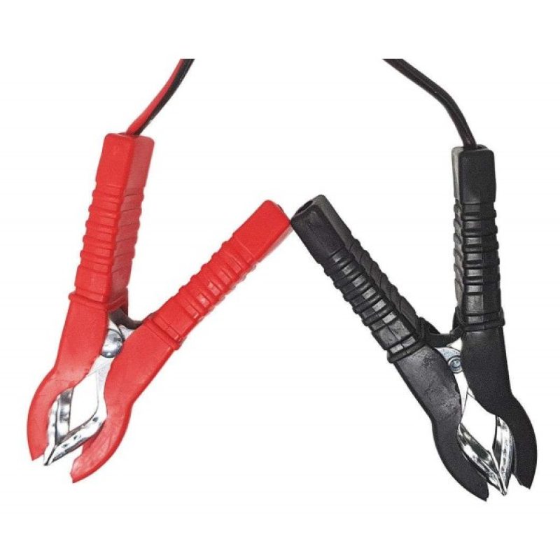 Caricabatterie portatile 6 8 12 ampere auto moto barca camper carica batteria