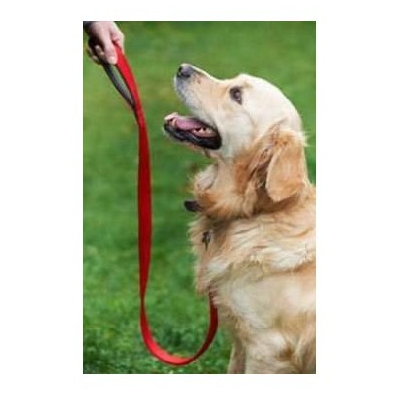 Guinzaglio e collare per cane regolabile in nylon con attacco cintura di sicurezza nascosto per trasporto in auto