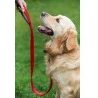 Guinzaglio e collare per cane regolabile in nylon con attacco cintura di sicurezza nascosto per trasporto in auto