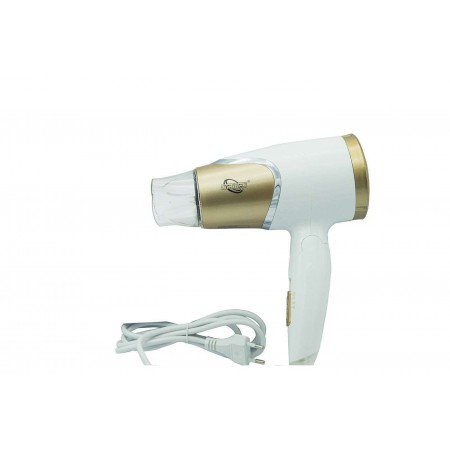 DRIWEI Phon professionale 1200 W asciugacapelli hair pieghevole viaggio DW-035