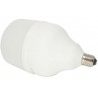 Lampadina E27 LED bulbo grande 25W lampada luce potente illuminazione stradale 