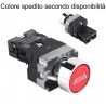 Interruttore avviamento motore ENGINE START spia led tuning auto 12V 10A switch