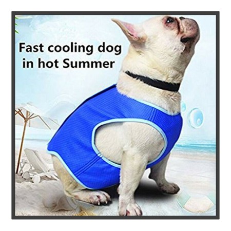 Maglietta rinfrescante Cani refrigerante S M L acqua pettorina fresco caldo PVA