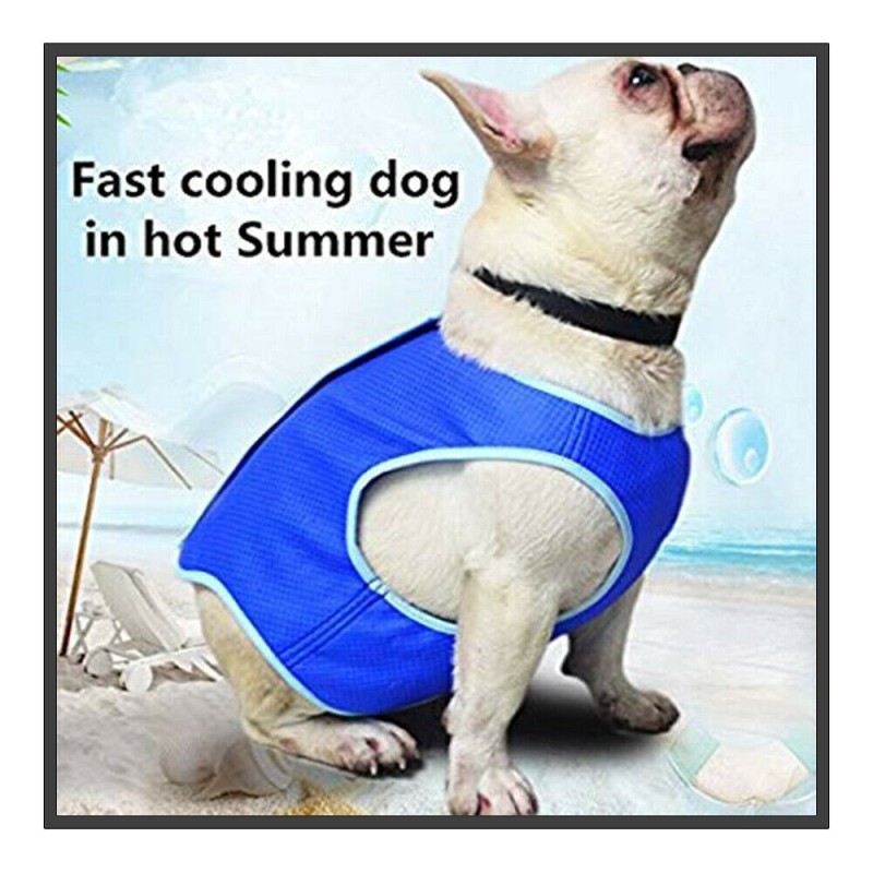 DOBO Maglietta rinfrescante Cani refrigerante S M L acqua pettorina...