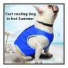 DOBO Maglietta rinfrescante Cani refrigerante S M L acqua pettorina...