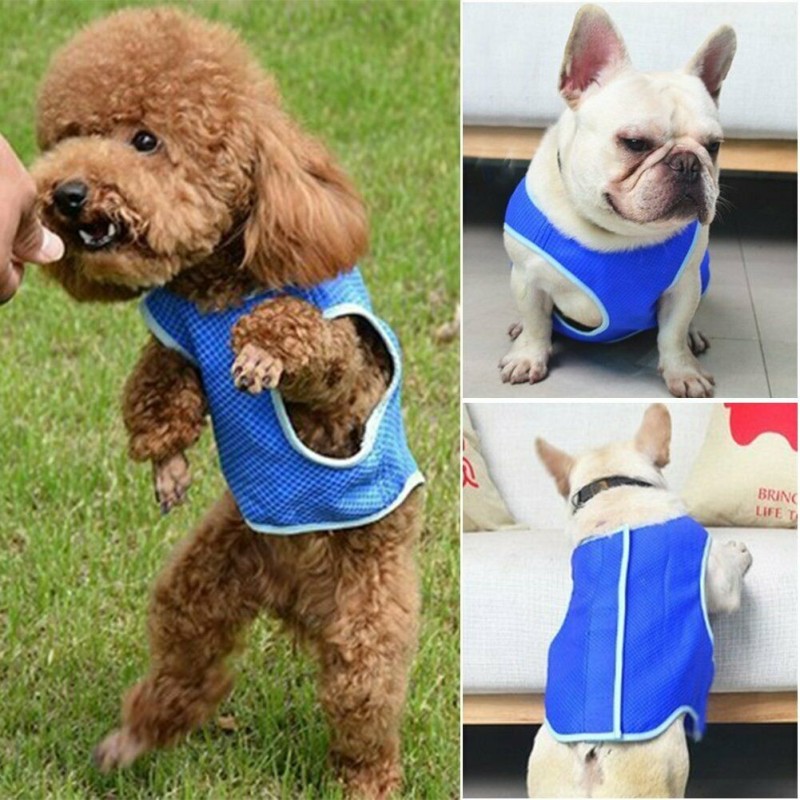 DOBO Maglietta rinfrescante Cani refrigerante S M L acqua pettorina...