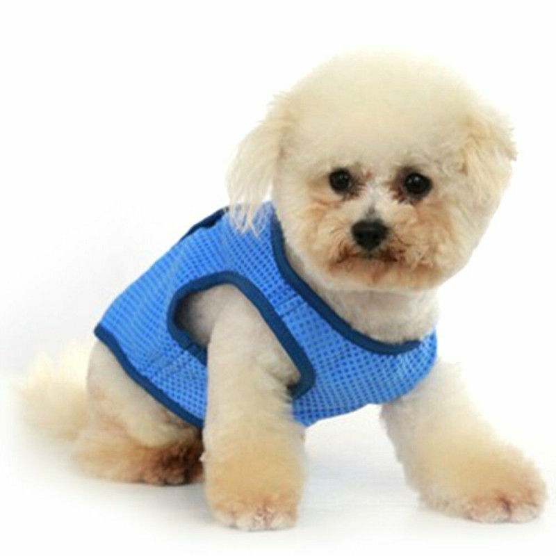 DOBO Maglietta rinfrescante Cani refrigerante S M L acqua pettorina...