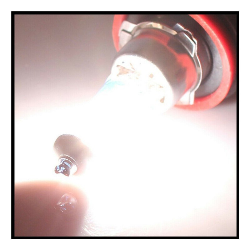 DOBO Coppia lampade lampadine Alogene auto H11 12V 100W colore luce...