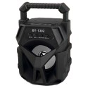 Cassa bluetooth con radio portatile USB AUX TF CARD speaker smartphone luce LED