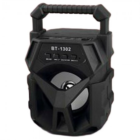 Cassa bluetooth con radio portatile USB AUX TF CARD speaker smartphone luce LED