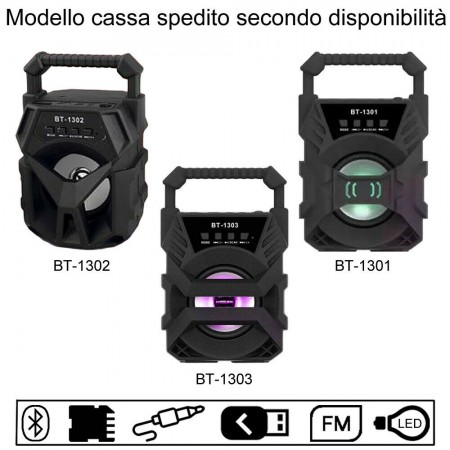 Cassa bluetooth con radio portatile USB AUX TF CARD speaker smartphone luce LED
