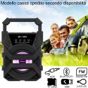 Cassa bluetooth con radio portatile USB AUX TF CARD speaker smartphone luce LED