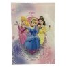 DOBO Kit scuola asilo Bambina set accessori Principesse Disney hell...