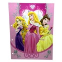 Cartellina porta Fogli Disney Principesse per bambini scuola porta disegni casa