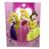 The Walt Disney Company Cartellina porta Fogli Disney Principesse p...