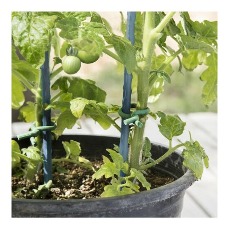 Generico Filo di Ferro Giardinaggio in Acciaio zincato 10mm x 10m r...