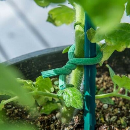 Filo di Ferro Giardinaggio in Acciaio zincato 10mm x 10m rivestimento schiuma