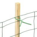Filo di Ferro Giardinaggio in Acciaio zincato 10mm x 10m rivestimento schiuma