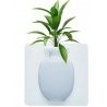DOBO 2x Vaso contenitore silicone appendere piantine frigorifero ve...