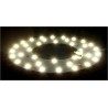 Driwei Circolina Led piastra disco plafoniera anello luci 18W 24W c...