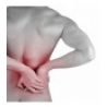  Fascia Lombare tutore elastico con stecche di rinforzo semi rigide. Sostegno a corsetto regolabile 
