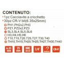 Set inserti giravite cacciavite 31PZ punte calamitate manico a cricchetto brico