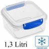 DOBO Contenitore alimenti 1. 3 Litri scatola porta pranzo cibo lavo...