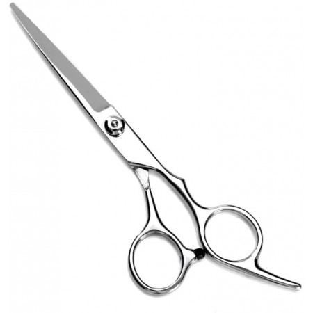 Kit 2 Forbici professionali parrucchiere per taglio sfoltitura dentata liscia forbice con dado regolazione