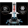 DRIWEI Coppia lampade ricambio auto LED 7S H1 bianco freddo 6000K f...