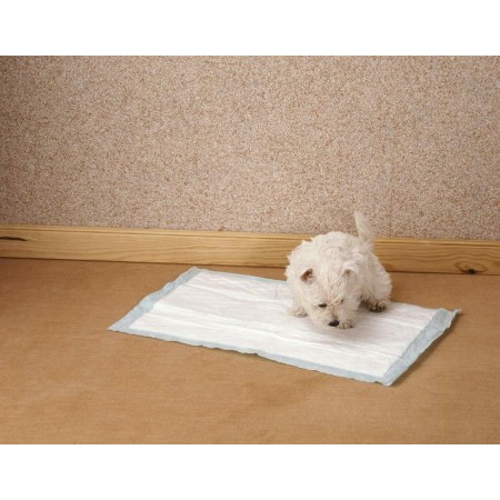 10x tappetini assorbenti per cani gatti cuccioli pavimento casa addestramento