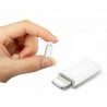 DOBO Adattatore convertitore cavo da Type C a Lightning CB-162 masc...