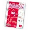 Pigna 40x Fogli di ricambio rinforzati per raccoglitori Righe per m...