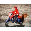 Poncho per moto anti pioggia motorino impermeabile riutilizzabile PVC scooter