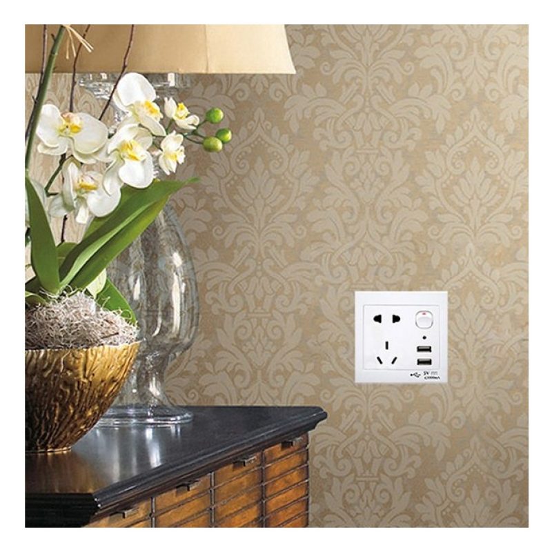 Tagoow Presa muro interfaccia USB 2 porte pulsante di accensione pr...