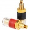 DOBO 4x Terminale trasparente grande compatto resistente ottone amp...
