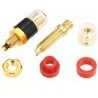 DOBO 4x Terminale trasparente grande compatto resistente ottone amp...