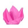 Generico CARTA VELINA 21GR COLORE ROSA 24 FOGLI 50x76 CM CARTAMODEL...
