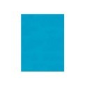 CARTA VELINA 21GR COLORE TURCHESE 24 FOGLI 50x76 CM CARTAMODELLO FOGLIO SARTI DECORA