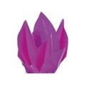 CARTA VELINA 21GR COLORE VIOLA 24 FOGLI 50x76 CM FOGLIO CARTAMODELLO DECORA