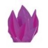 WeHome CARTA VELINA 21GR COLORE VIOLA 24 FOGLI 50x76 CM FOGLIO CART...