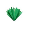 CARTA VELINA 21GR COLORE VERDE 24 FOGLI 50x76 CM FOGLIO CARTAMODELLO