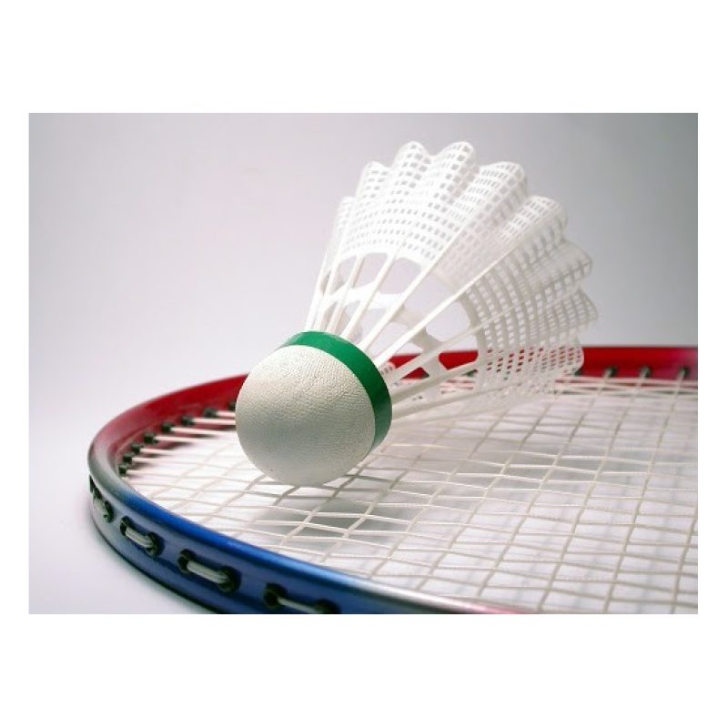 WeHome 3x Palla badminton volano volani sport nylon supporto in EVA...