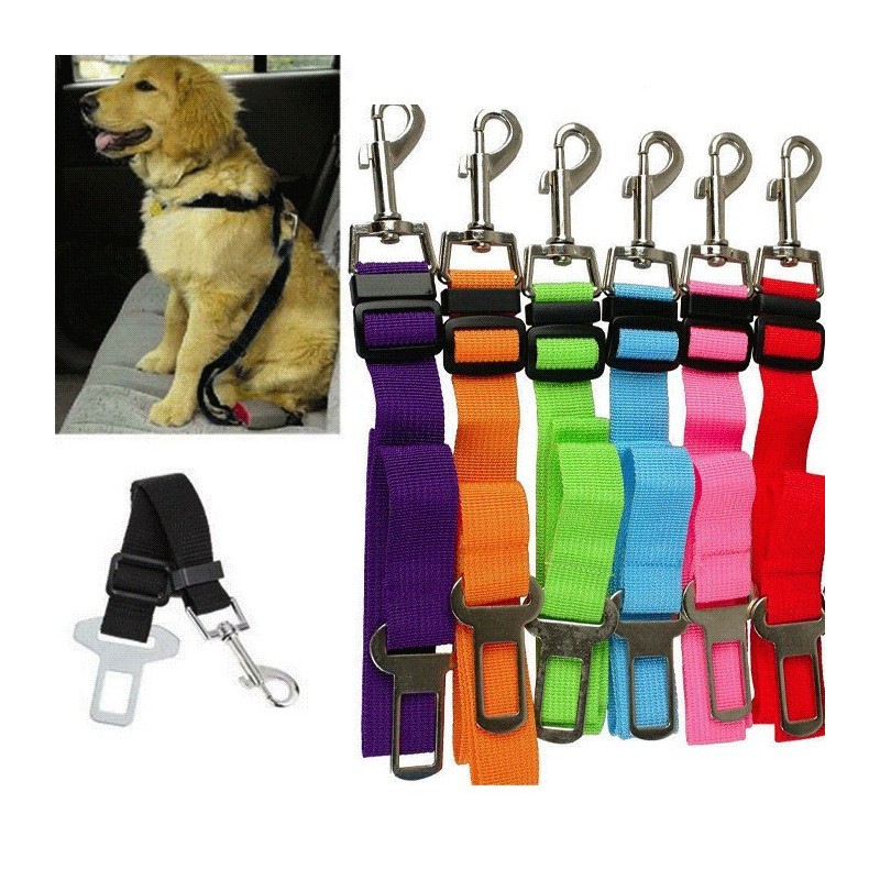 Cintura di sicurezza imbracatura cane cani guinzaglio pettorina auto regolabile