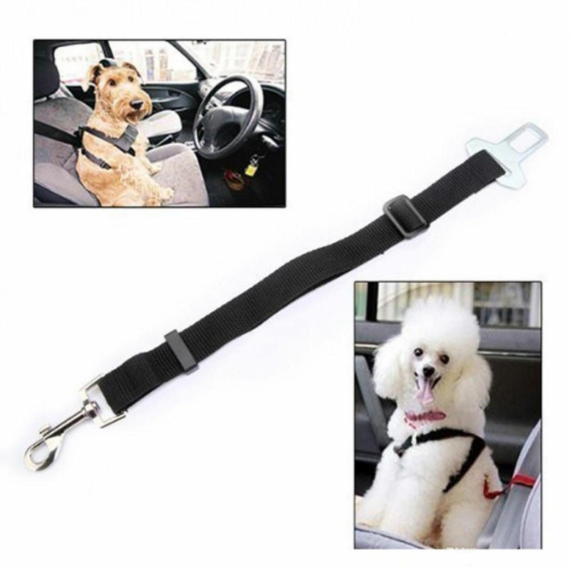 Iron Cintura di sicurezza imbracatura cane cani guinzaglio pettorin...