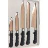 Set 5 coltelli professionali manico antiscivolo finitura elegante chef sfiletta