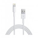 Cavo da Lightning a USB per apple iPhone 5 5s e iPad ultima generazione