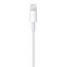 Cavo da Lightning a USB per apple iPhone 5 5s e iPad ultima generazione