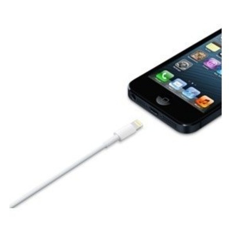 Cavo da Lightning a USB per apple iPhone 5 5s e iPad ultima generazione