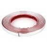 Iron Striscia adesiva decorativa e protettiva per auto cromata 23mm...